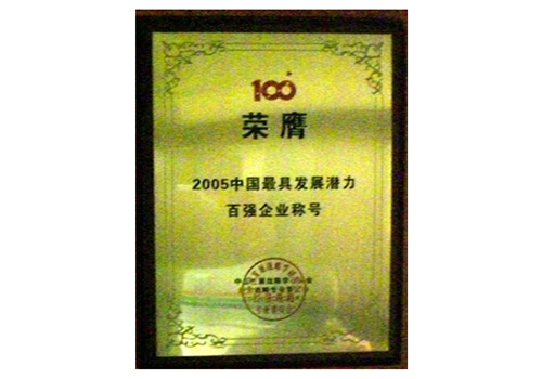 2005中国最具发展潜力百强企业称号